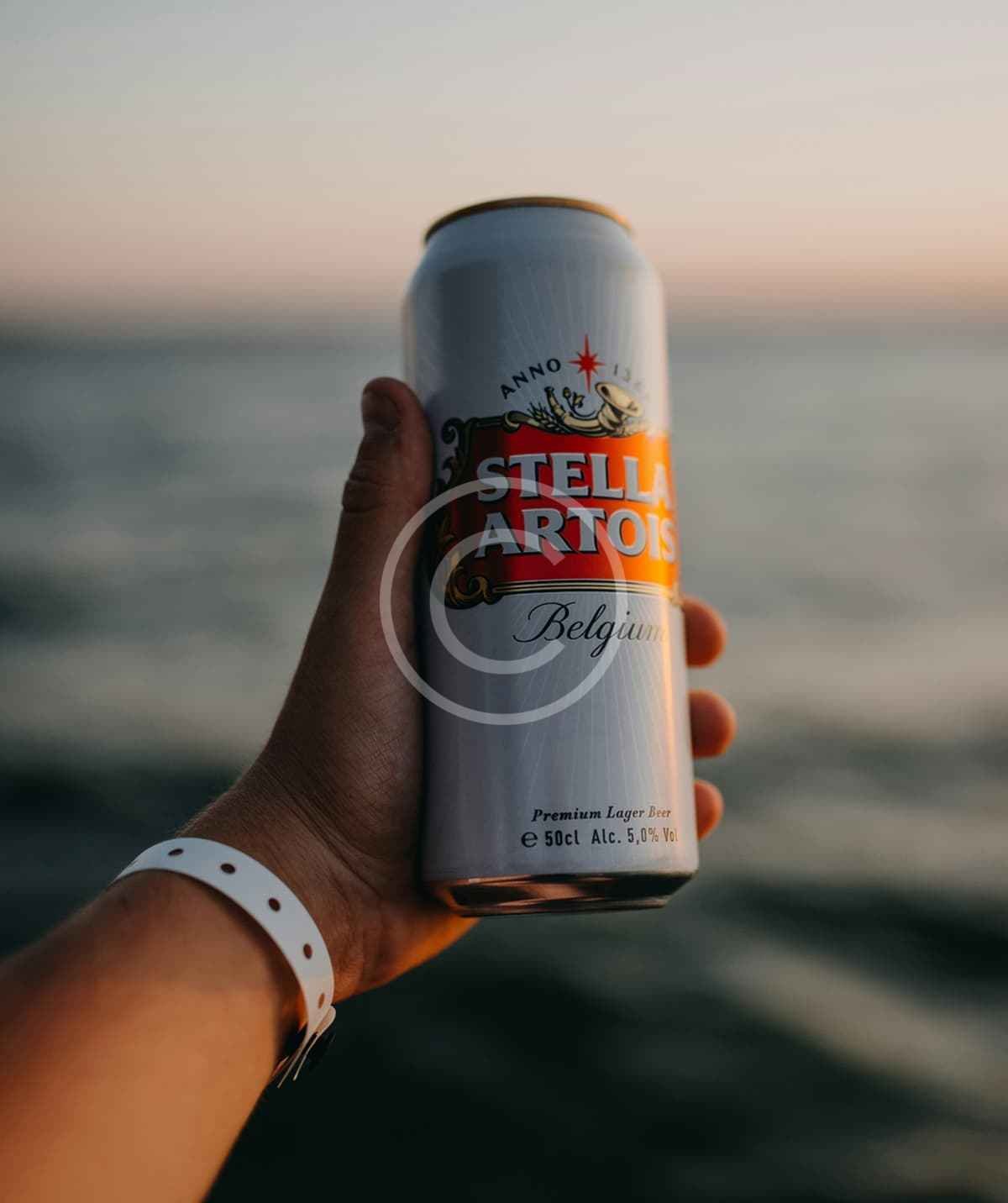 Rosin botanical blend lager - Image 2